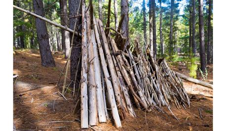 4 Simple Ways To Build A Shelter In The Woods Survival Prepper