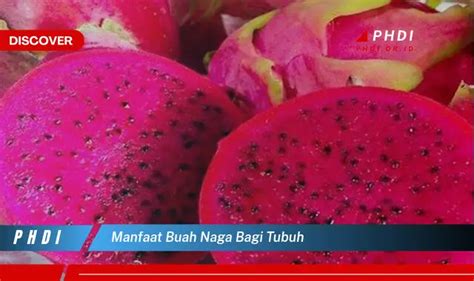 Temukan 7 Manfaat Buah Naga Bagi Tubuh Yang Jarang Diketahui