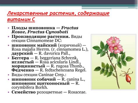 Витамины - презентация онлайн