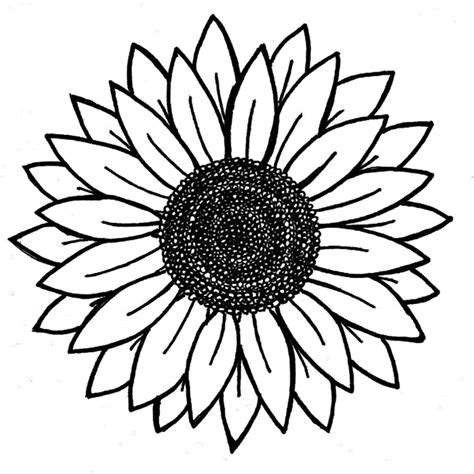 Sunflower Stencils Free Printable