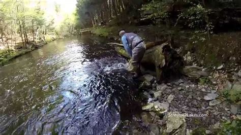 Poconos Fly Fishing Youtube