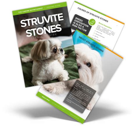 Dog Food for Struvite Stones | The Canine Nutritionist