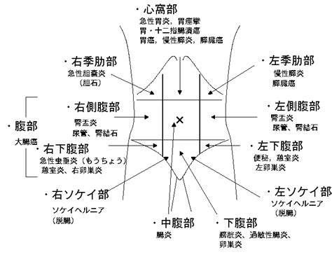 症状から見る胃腸病 胃腸 Jp｜医師監修のまとめサイト