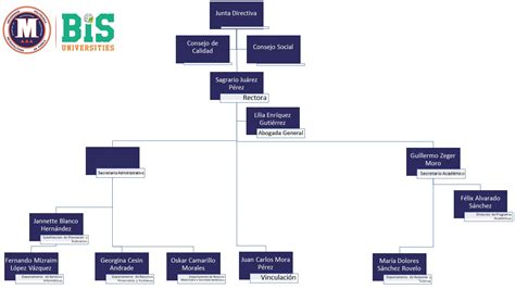 Organigrama Universidad Polit Cnica Metropolitana De Puebla