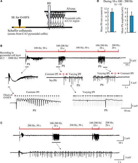 Frontiers Small Changes In Inter Pulse Intervals Can Cause