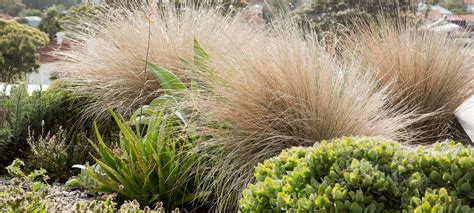 19 Stunning Front Garden Ideas From Across Australia
