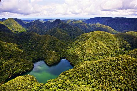 Theres Something New About The Heart Of The Amazon The Rainforest