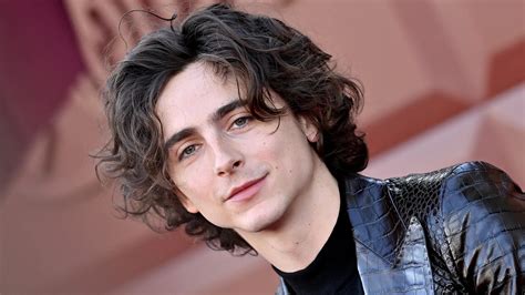 Timoth E Chalamet Reacciona Al V Deo Viral De Su Doble Revista Velvet