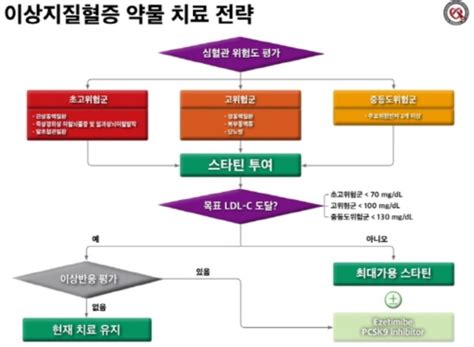 콜레스테롤 치료지침 큰 변화비스타틴 옵션 사용 강조