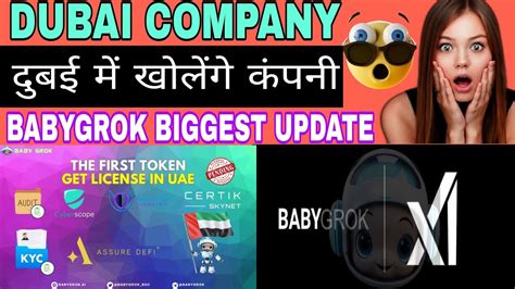 Babygrok Token Dubai Licence X Pump Bull Run Next Shiba Pepe