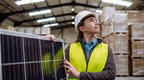 Pose De Panneaux Solaires Quelles Solutions Pour Les Professionnels