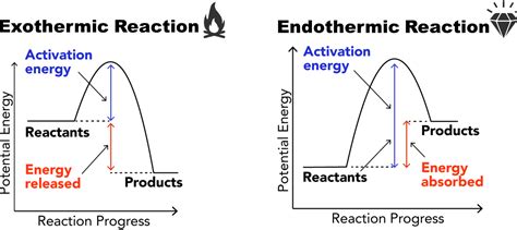 Exothermic Reaction Graph