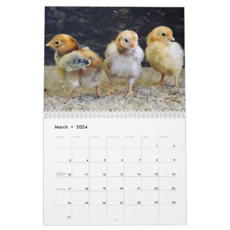 Farm Animals Calendar | Zazzle