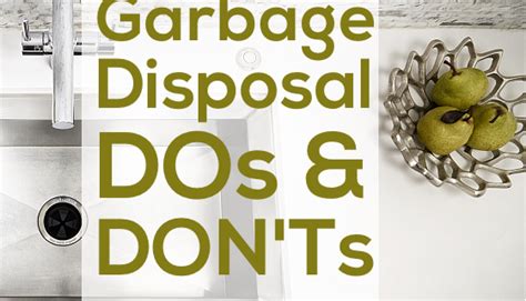 Garbage Disposal Dos And Donts Fox Valley Backflow And Plumbing