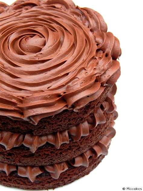 Chocolate Naked Cake Miicakes