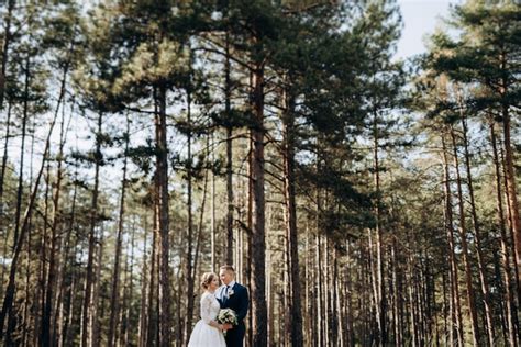 La Novia Y El Novio Est N Caminando En Un Bosque De Pinos En Un D A