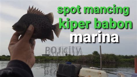 Spot Mancing Ikan Kiper Babon Di Marina Youtube