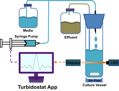 disinfection/sterilization methods Flashcards | Quizlet