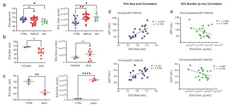 Extracellular Vesicles as Markers of Liver Function: Optimized Workflow