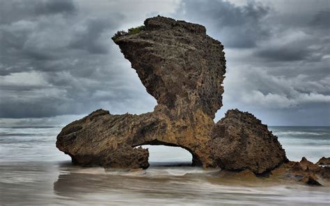 Free Images Beach Coast Tree Nature Rock Ocean Cloud Wagon