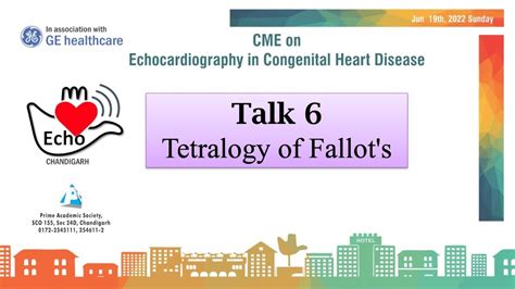 Talk 6 Tetralogy Of Fallot S Role Echo In Planning Surgery YouTube