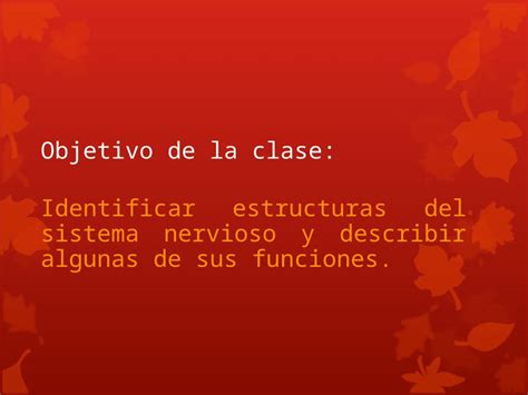 Ppt Objetivo De La Clase Identificar Estructuras Del Sistema