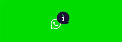 Conhe A A Integra O Entre O Jivochat E O Whatsapp Business