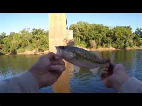 Cape Fear River Fishing Fayetteville North Carolina Youtube