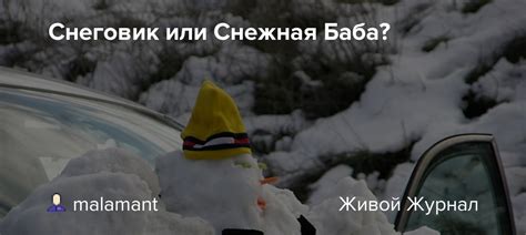 Снеговик или Снежная Баба Malamant — Livejournal