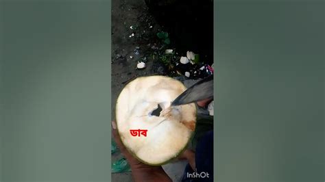 Shortvideo Viral নারকেল জল😋😋 Youtube