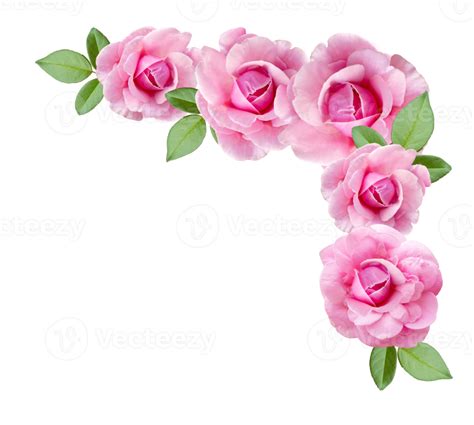 Flores Y Capullos De Rosa Rosa En Un Arreglo De Esquina 8880226 Png