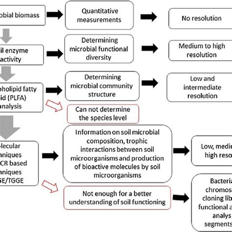 Effects Of Biochar Application On Soil Microbial Community Structure