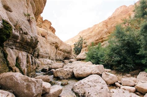 The Wilderness and More
