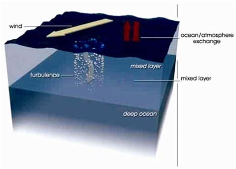 mixed layer depth mld source riebeek   scientific