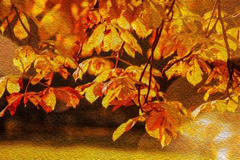 Oil Painting Autumn Leaves Free Stock Photo - Public Domain Pictures