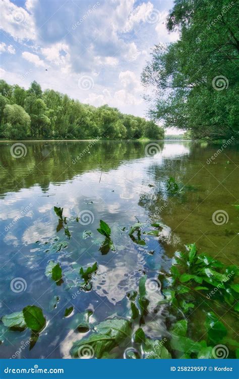 River Danube Near the Confluence of the Hron and Danube Rivers Stock ...