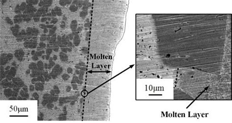 Typical Microstructure Of The Cross Section Sample E Download Scientific Diagram