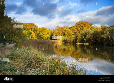 The Ornamental Lake On Southampton Common In Autumn Southampton