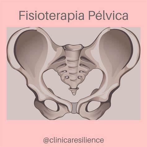 O Que Fisioterapia P Lvica Cl Nica Resilience