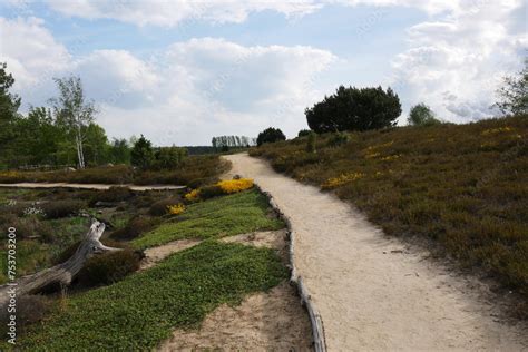 Weg Durch Landschaftspark Im Findlingspark Nochten Stock Foto Adobe Stock