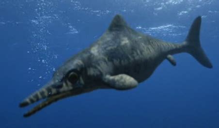 Ophthalmosaurus | Prehistoric Monsters Wiki | Fandom