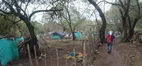 Con Ni Os Como Escudos Personas Ocuparon Finca De La Sae En Tello