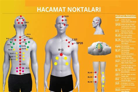 Manevi hacamat bölgeleri ve faydaları Hacamatın manevi sırları ve