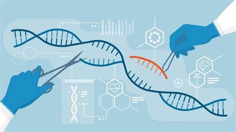 Microbial Genetic Engineering Application And Concepts