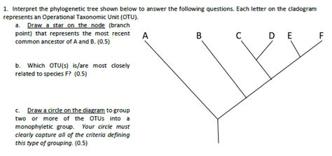 Solved 1 Interpret The Phylogenetic Tree Shown Below To