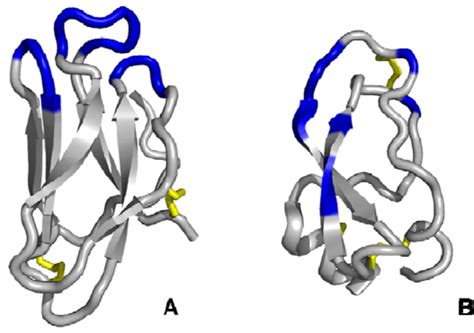 Schematic Representations Of Tendamistat A And The Kunitz Domain