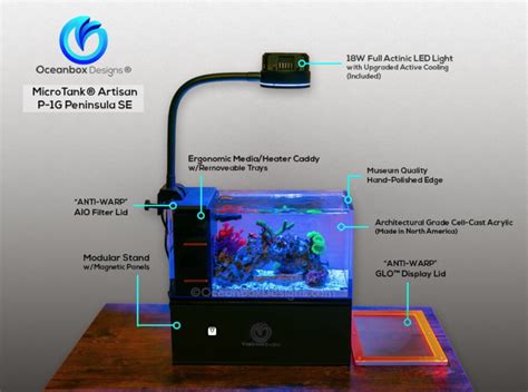 MicroTank Artisan P1 G Is Oceanbox Designs Tiny 1 Gallon Wonder Reef