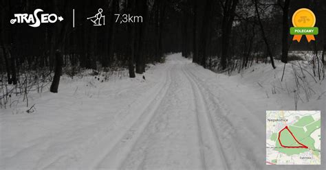 Trasa Na Bieg Wki Trasa Narciarstwa Biegowego W Puszczy Niepo Omickiej