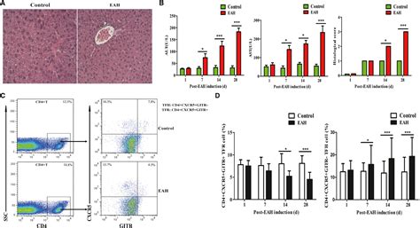 Dysregulated TFR And TFH Cells Correlate With Bcell Differentiation