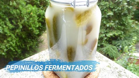 C Mo Fermentar Pepinillos Kov Szos Uborka Delicioso Sabores De